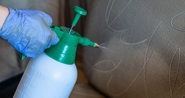 covid disinfecting services in Holly Springs