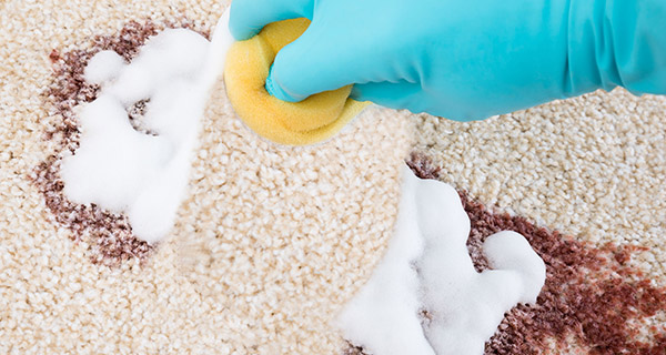 professional stain removal in Holly Springs