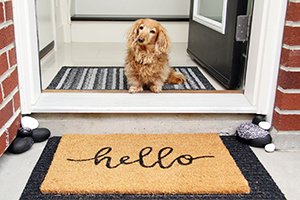 Use entrance mats inside and outside