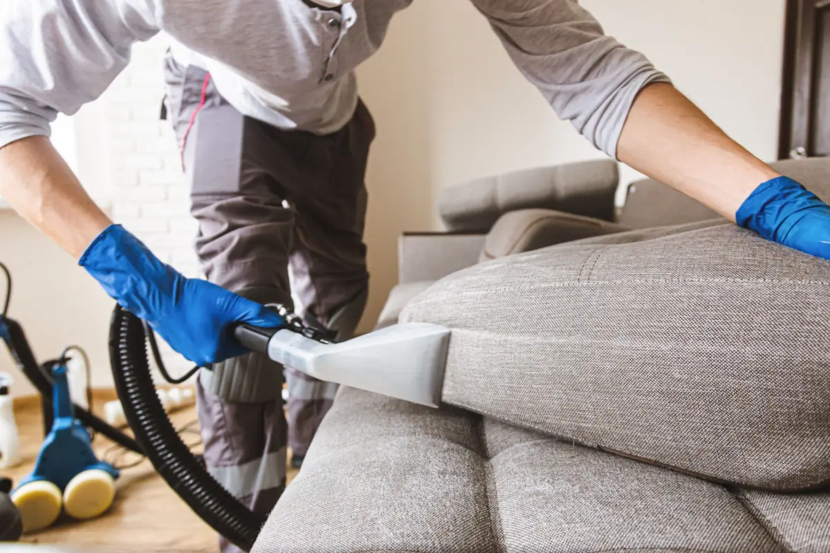 Carpet Cleaning in Holly Springs