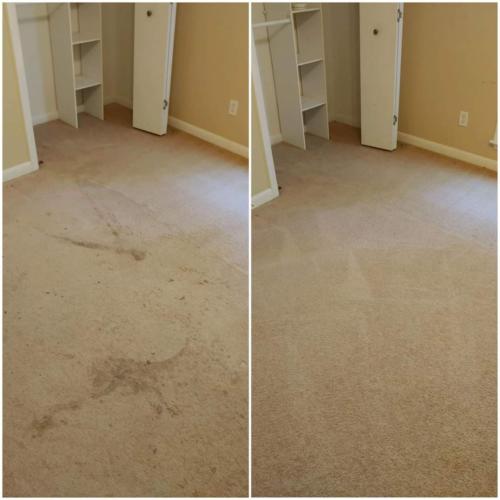 Carpet Stain Removal